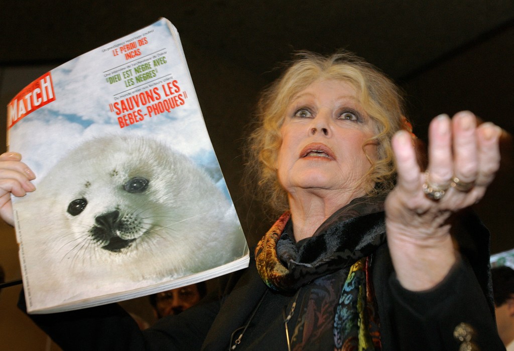 French film star Brigitte Bardot gestures with an old copy of Paris Match Magazine showing a seal on December 5, 2005 in Geneva. (AFP) French film star Brigitte Bardot gestures with an old copy of Paris Match Magazine showing a seal on December 5, 2005 in Geneva. (AFP)