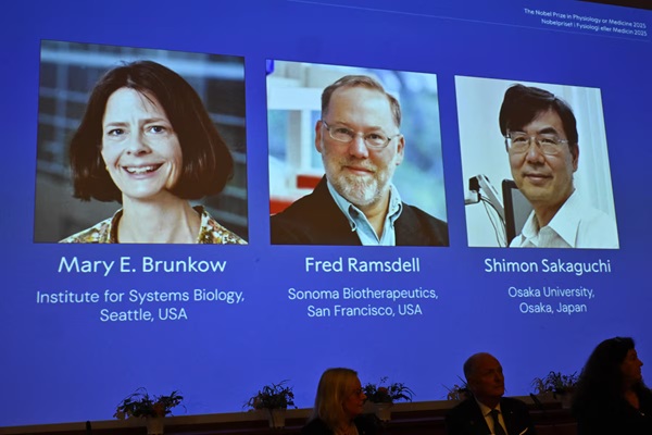 Mary E Brunkow, Fred Ramsdell and Shimon Sakaguchi are awarded this year's Nobel Prize in Medicine or Physiology. The Nobel Assembly at Karolinska Institutet announce the Nobel Prize in Physiology or Medicine on October 6, 2025, in Stockholm, Sweden. TT News Agency/Claudio Bresciani via REUTERS