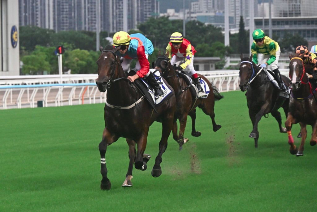 Ka Ying Rising builds towards his seasonal return with a second barrier trial at Sha Tin on Sunday. HKJC