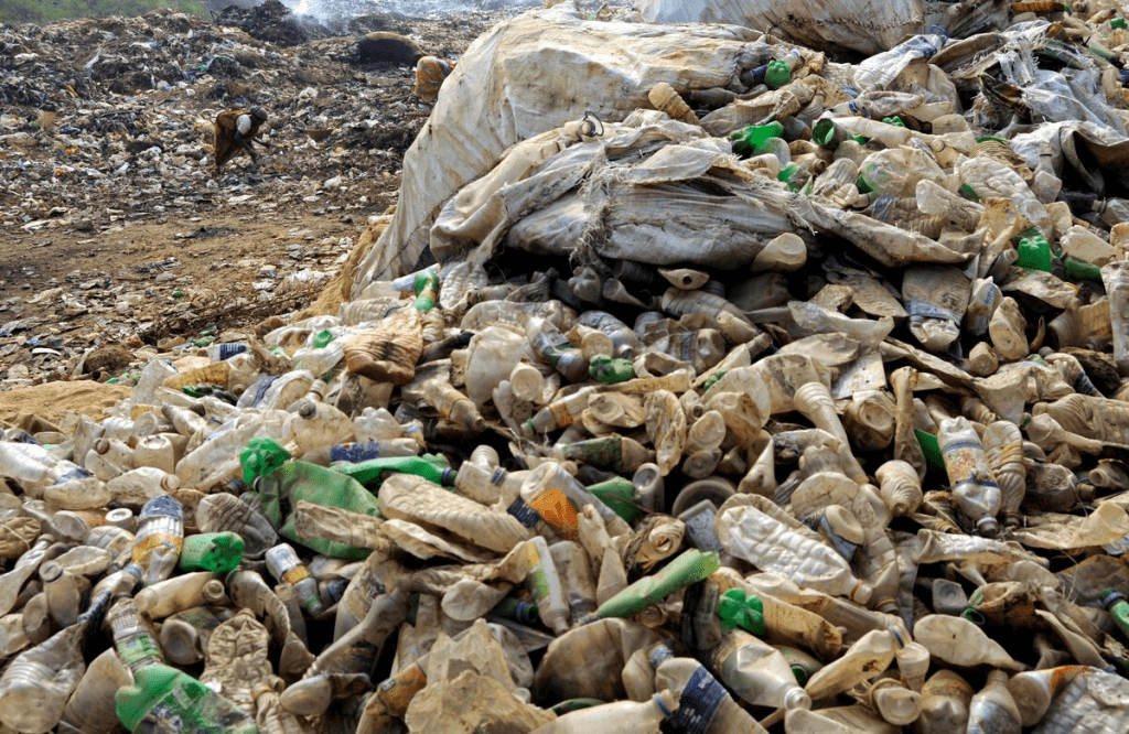 A woman collects plastic bottles for recycling at the garbage dump on the outskirts of Agartala, capital of India's northeastern state of Tripura December 6, 2009. REUTERS/Jayanta Dey 