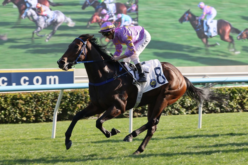 Little Paradise will try at Sha Tin on Thursday before a likely start in the G3 Premier Cup on June 21. HKJC