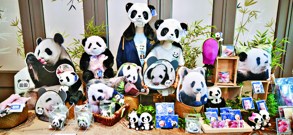A South Korean panda carer in Hong Kong to promote a documentary. A South Korean panda carer in Hong Kong to promote a documentary.