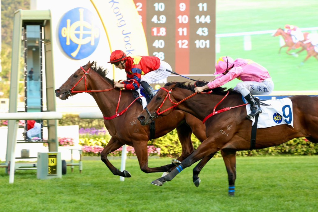 Smart Golf salutes as odds-on favorite at Sha Tin on Sunday. Sing Tao