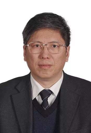 Yang Mengfei Yang Mengfei