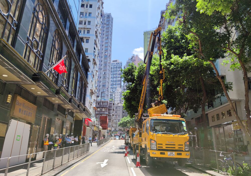The woman and a male colleague were clearing branches on Water Street in Western when the tragic accident happened. The woman and a male colleague were clearing branches on Water Street in Western when the tragic accident happened.