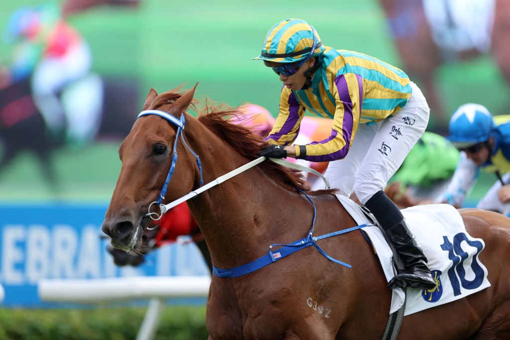 Karma returns from a break ready to do some damage on the dirt (HKJC)