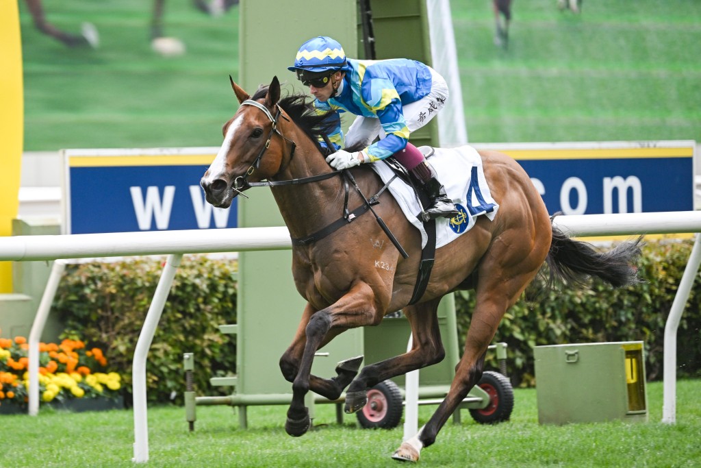 Akashvani was second to a talented horse on debut and stands out as a likely winner second-up (HKJC) 