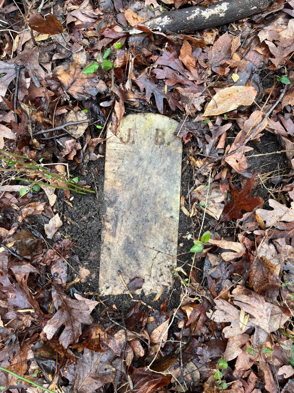 Photo by VICTORIA LAVELLE / AFP  An abandoned 19th-century grave is seen on the grounds of the House of Reformation for Colored Children, a closed down segregated juvenile detention facility that operated in the late 19th and early 20th century, in Cheltenham, Maryland, on February 17, 2026.