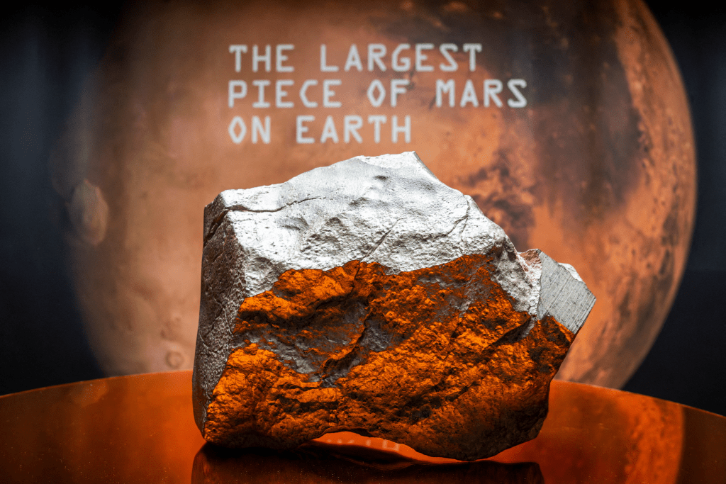 The meteorite NWA 16788, the largest known piece of Mars on Earth, is displayed during the press preview of Sotheby’s Natural History auction in New York City, U.S., July 8, 2025. REUTERS/Eduardo Munoz