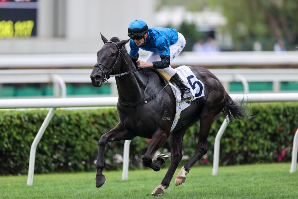 Dazzling Fit is one of the most promising young horses in Hong Kong. HKJC