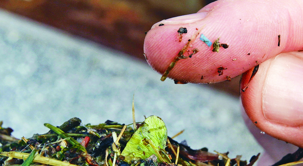 Microplastics have been shown to be present in the food we eat and the water we drink. ap Microplastics have been shown to be present in the food we eat and the water we drink. ap