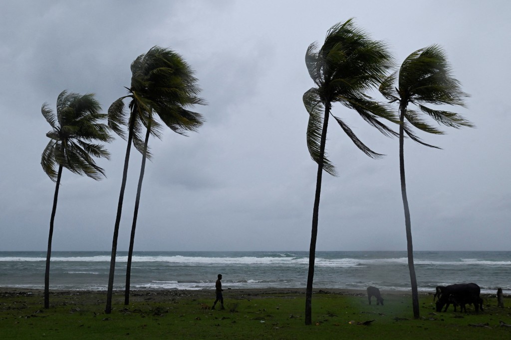A man herds cattle along the coastline ahead of Hurricane Melissa's landfall, in Santiago de Cuba, Cuba, October 28, 2025. REUTERS/Norlys Perez