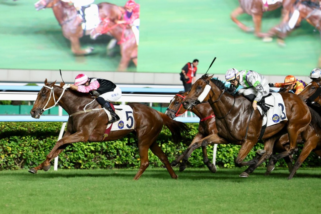 Beauty Joy, first left, may have one race left after turning back the clock to win the Premier Plate on Sunday.