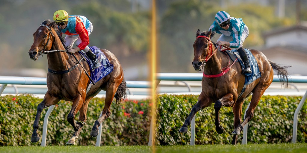 Ka Ying Rising and Romantic Warrior. HKJC