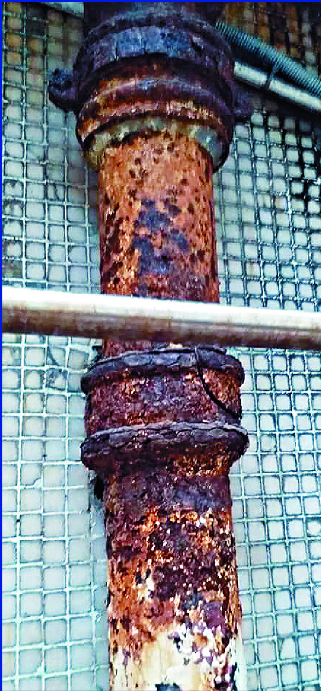 Public estate residents are worried the virus may spread through bad pipes. SING TAO Public estate residents are worried the virus may spread through bad pipes. SING TAO