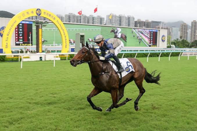Jedi Spurs turned heads winning on debut down the Sha Tin straight. Photo HKJC