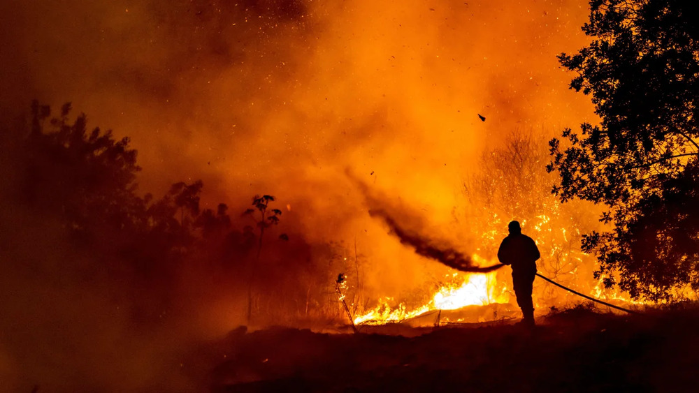 A firefighter battles the flame in a forest on the slopes of the Troodos Mountain chain on July 3. (AFP) A firefighter battles the flame in a forest on the slopes of the Troodos Mountain chain on July 3. (AFP)