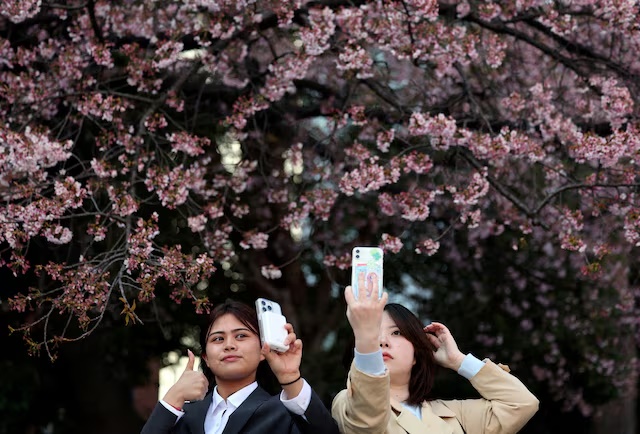 Visitors take selfies in front of the early-flowering cherry blossoms at Ueno Park in Tokyo, Japan, March 17, 2026. REUTERS/Issei Kato