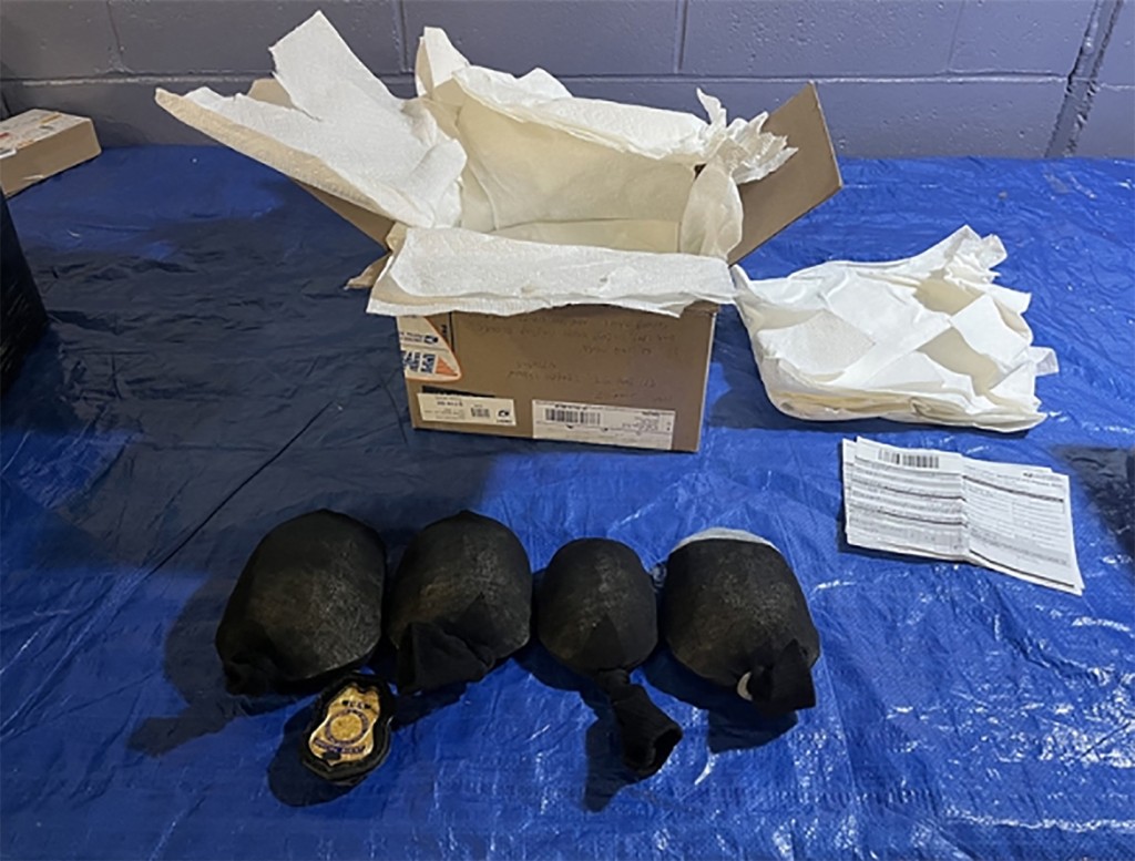 his undated handout image released by District Court for the Western District of New York from the United States Fish and Wildlife Service (NSFWS) shows eastern box turtles intercepted during a border inspection. (Photo by USFWS / AFP)