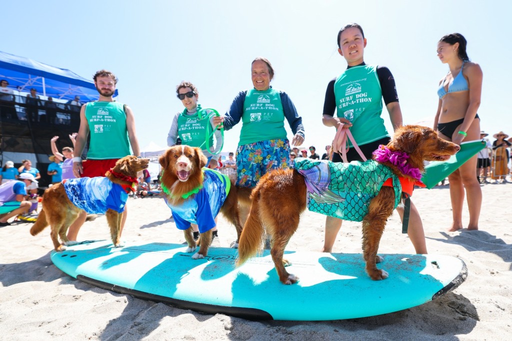 (Photo by Patrict T. FALLON / AFP)