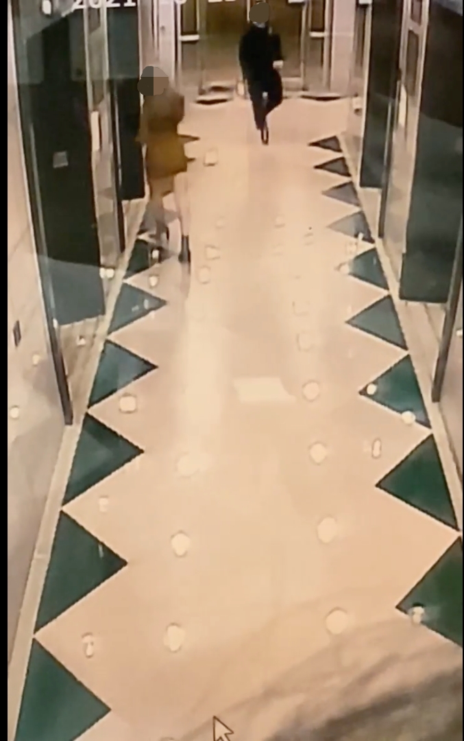 Screencap of the video.