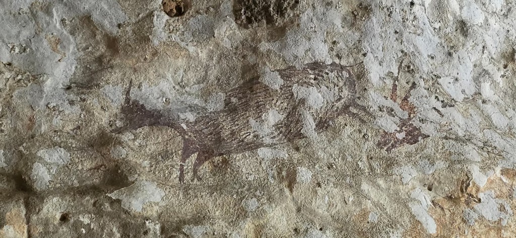 A rock painting depicting a pig at a cave in Maros-Pangkep, South Sulawesi province, Indonesia, October 12, 2026. National Research and Innovation Agency/Handout via Reuters 