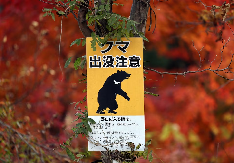 A bear warning sign is displayed with autumn-colored leaves in the background at the head of a walking trail near the orchard, in Hida, Gifu Prefecture, Japan, November 14, 2025. REUTERS/Issei Kato
