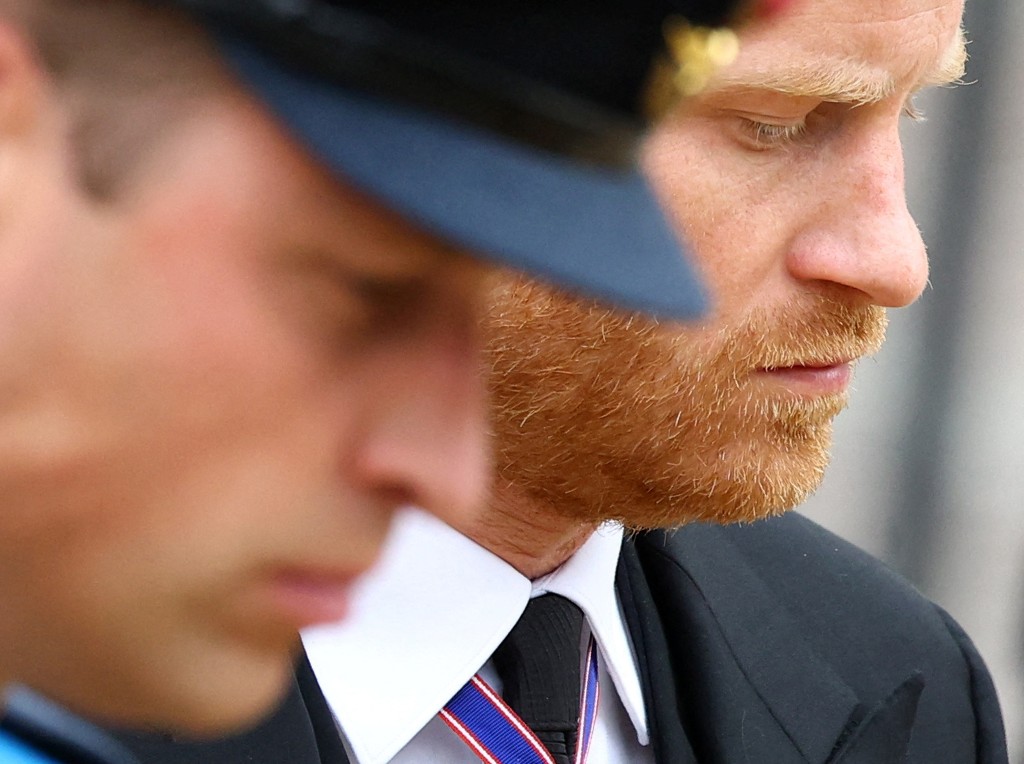 Photo by HANNAH MCKAY / POOL / AFP  Britain's Prince William, Prince of Wales (L) and Britain's Prince Harry, Duke of Sussex (R) attend the State Funeral of Britain's Queen Elizabeth II in London on September 19, 2022.