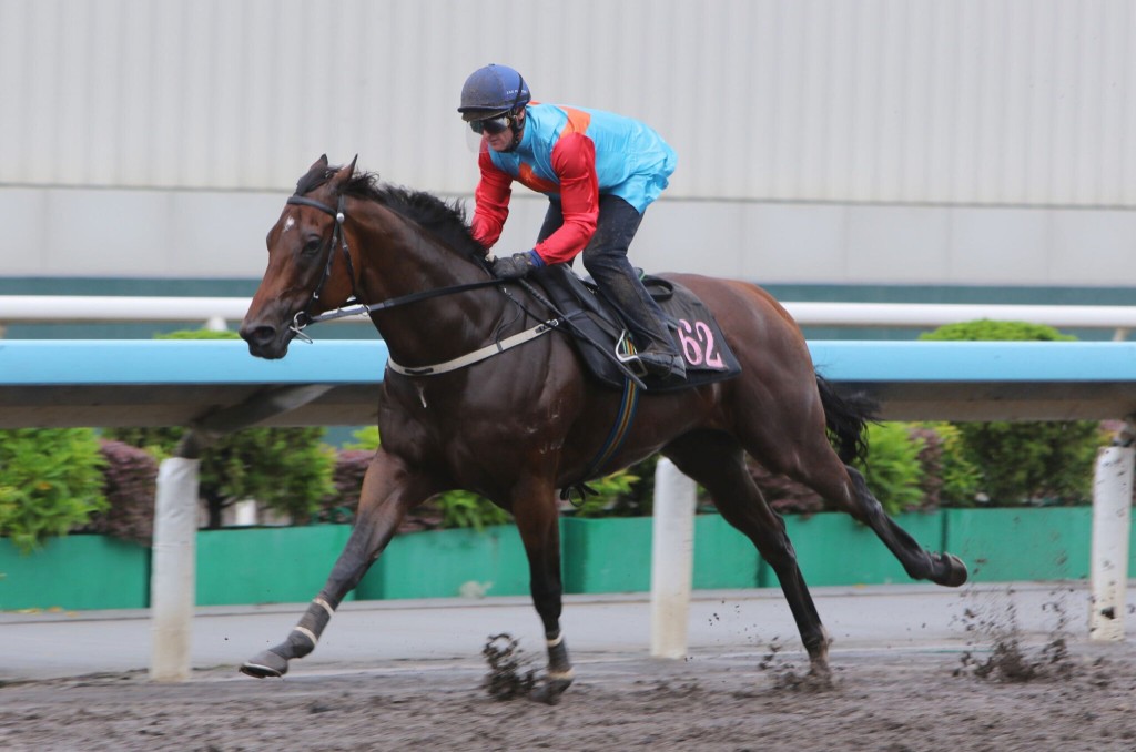 KA YING RISING, ZAC PURTON / August 21 Trial // Sha Tin /// 2026 //// Photo by Idol Horse