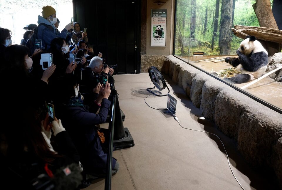 Visitors film and photograph four-year-old giant panda Lei Lei at Ueno Zoo, a day after news broke that Japan will return two giant pandas to China at the end of January 2026, in Tokyo, Japan, December 16, 2025. REUTERS/Kim Kyung-Hoon
