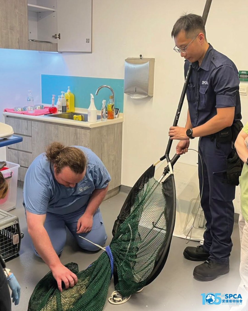 Source: SPCA