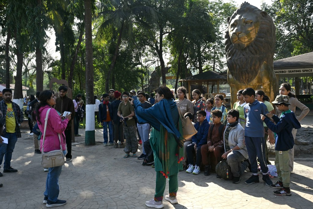 Photo by INDRANIL MUKHERJEE / AFP  This photograph taken on November 10, 2025 shows a school group posing for photographs next to a statue of an Asiatic lion at the Gir National Park in India's western state of Gujarat.