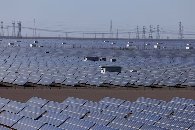 A general view of the solar panels pictured during an organised media tour at the Dunhuang Photovoltaic Industrial Park, in Gansu province, China October 16, 2024. REUTERS/Tingshu Wang/File Photo