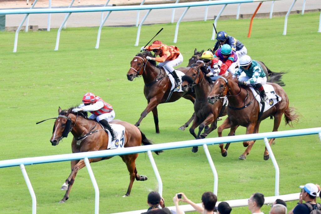 Metro Power streaks away with Race 7 at Sha Tin (Sing Tao) 