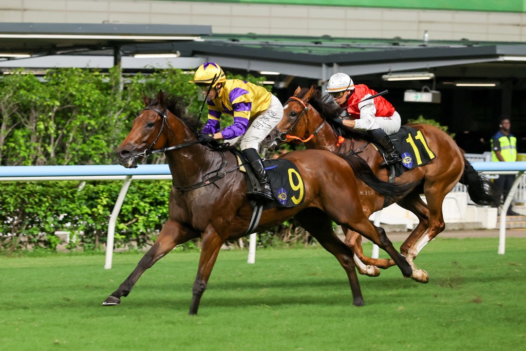 Le Zonda secures back-to-back wins with Vincent Ho at Happy Valley.