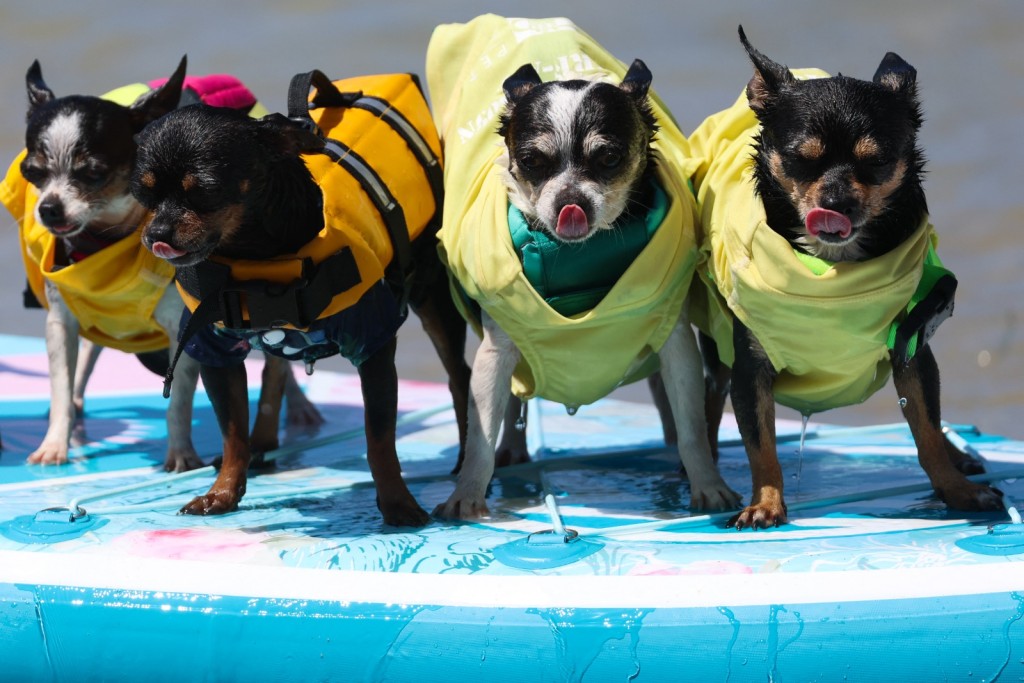 (Photo by Patrict T. FALLON / AFP)