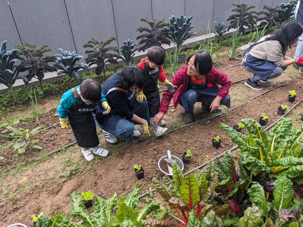 Urban farming workshops