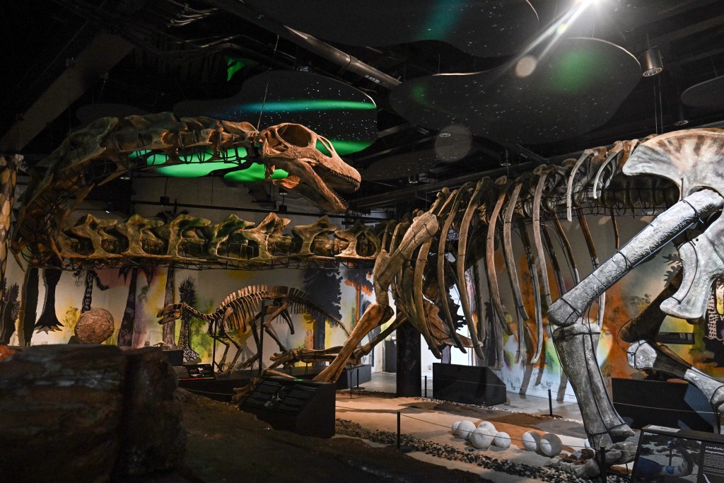 Photo by LILLIAN SUWANRUMPHA / AFP A model skeleton of Nagatitan chaiyaphumensis, Thailand’s largest dinosaur, is pictured at the Thainosaur Museum in Bangkok on May 15, 2026.