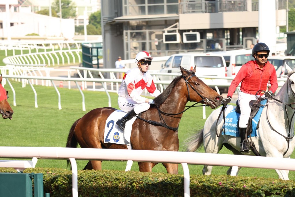 David Hall has brought  Magnifique back from a bleeding attack. Singtao