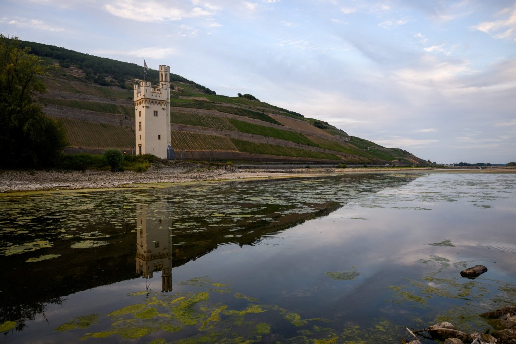 Low water levels show the partially dried riverbed around the Maeuseturm, a former customs tower on the Rhine River near the western German town of Bingen, Germany. (Reuters)