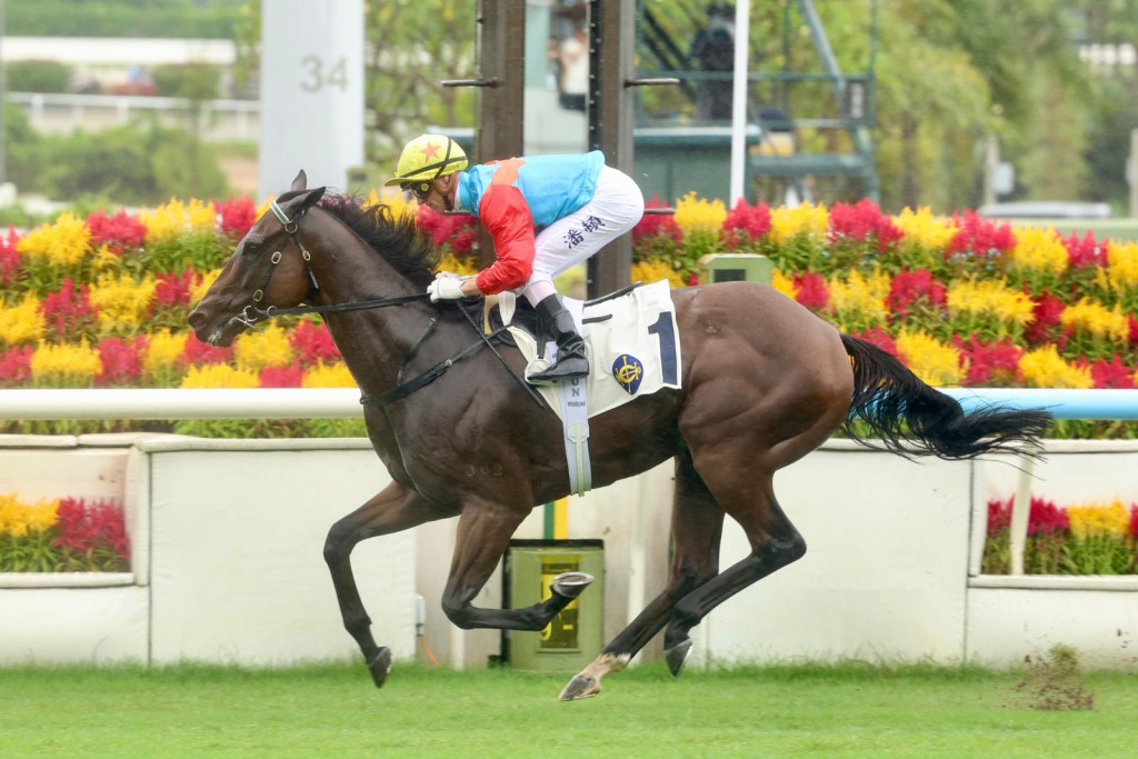 Kayin Rising Bigger, stronger ... better: Hayes has it right on Ka Ying Rising as ...