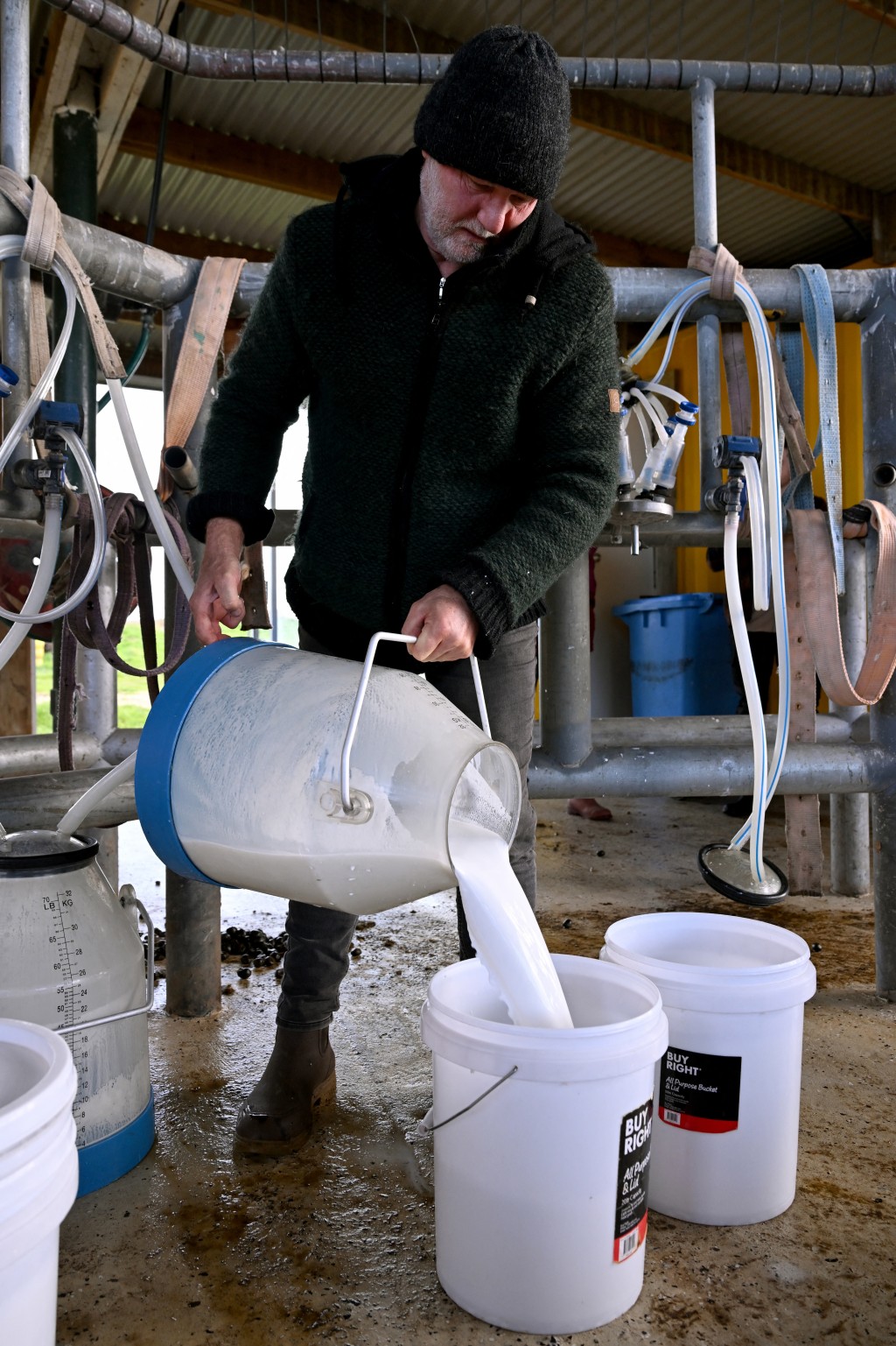 Photo by WILLIAM WEST / AFP  A photo taken on July 3, 2026 shows Warwick Hill, owner of the Humpalicious farm, pouring camel milk into a bucket on the outskirts of the South Australian town of Robe.
