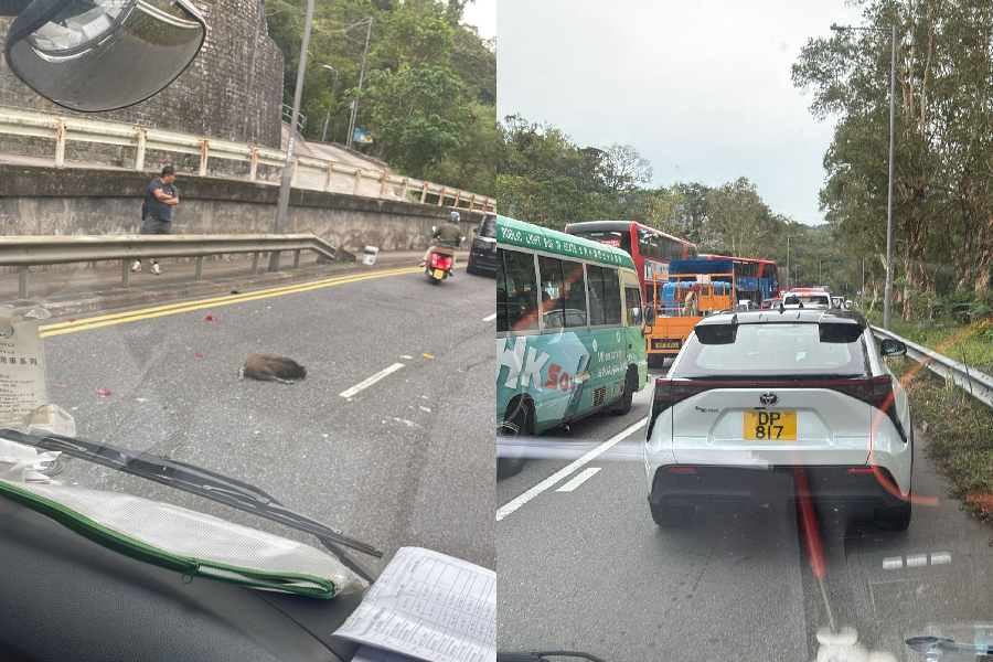 (Photo from Facebook)