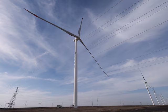 A general view of a Taiyuan New Energy Co wind farm, during an organised media tour, in Jiuquan, Gansu province, China October 17, 2024. REUTERS/Tingshu Wang