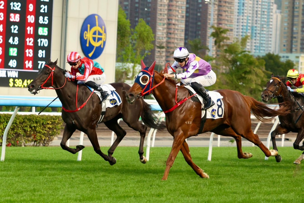 Stromy Grove storms from last for a big win at Sha Tin on Saturday. Singtao