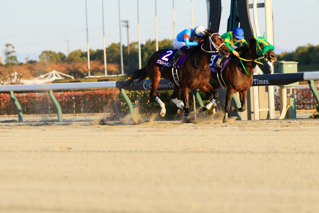 W Heart Bond (left) wins a thrilling head-to-head duel with Wilson Tesoro. Shuhei Okada/Idol Horse