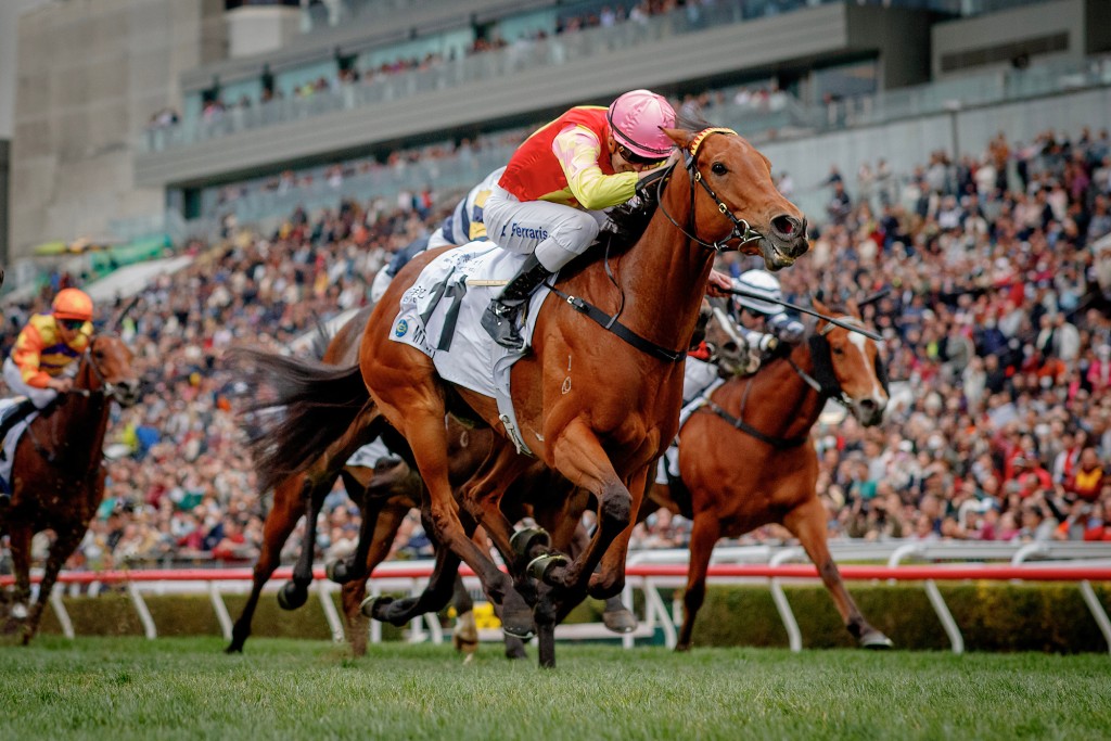 Big things are expected from My Wish, seen here winning the 2025 Hong Kong Classic Mile. Mark newnham's miler resumes in Sunday's G3 Celebration Cup over 1400 meters (HKJC) 