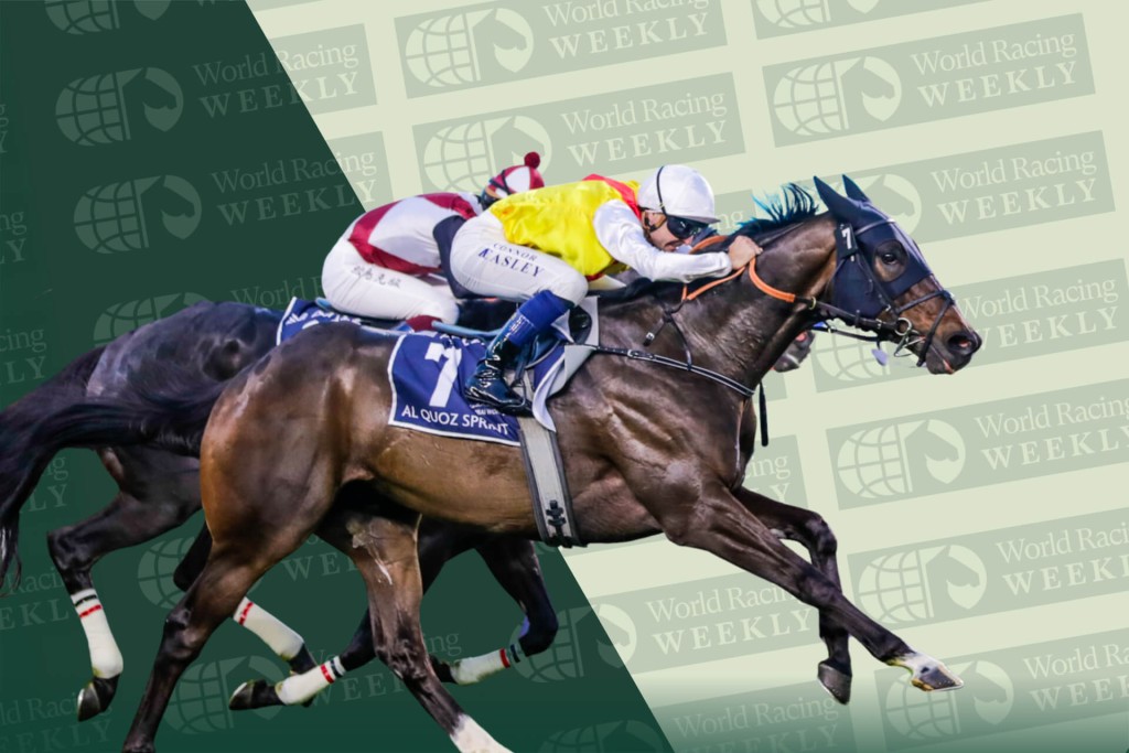 Native Approach, Connor Beasley. Idol Horse.