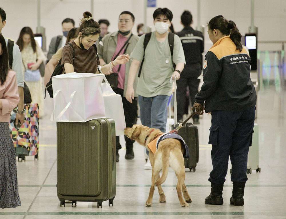 The increase is attributed to the relaxation of pandemic controls, allowing normal travel between Hong Kong and the mainland and other parts of the world. SING TAO The increase is attributed to the relaxation of pandemic controls, allowing normal travel between Hong Kong and the mainland and other parts of the world. SING TAO