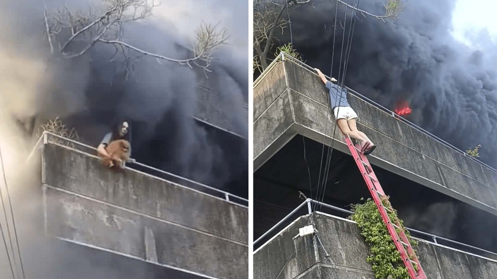 FB@IvyBaya/ FB@MANILA BULLETIN